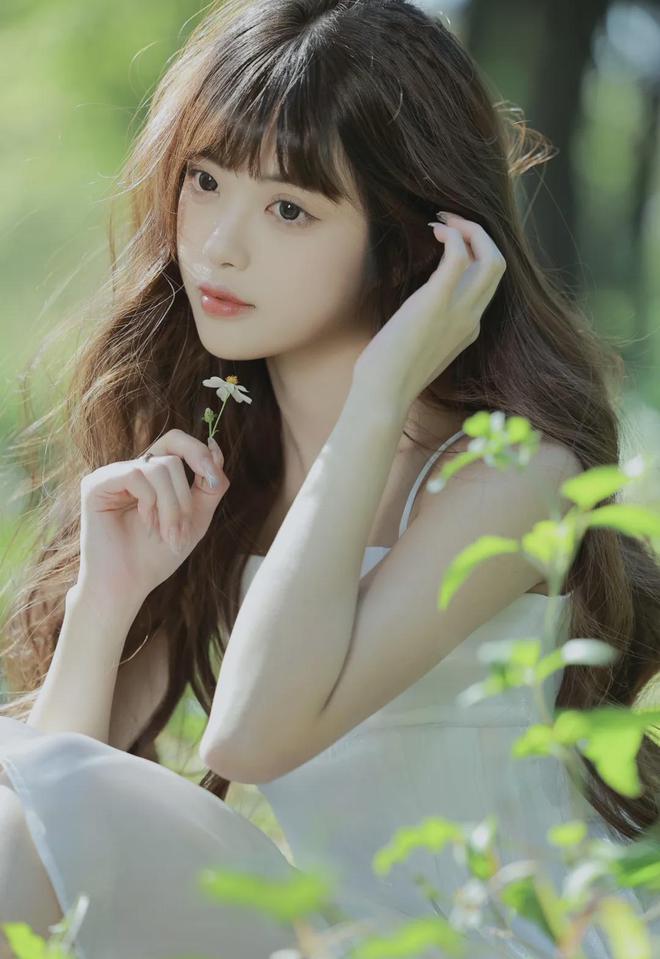 欧式45种扦插方式免费